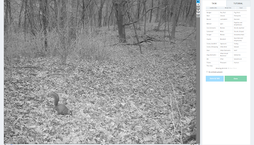 A black and white image of a squirrel and a chart on the right side