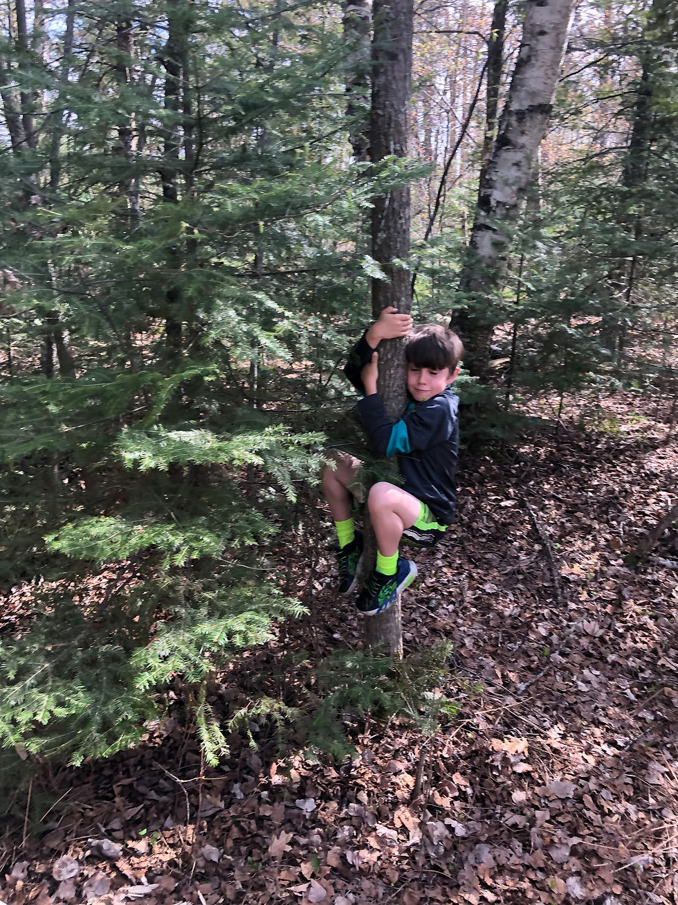 Nature Club