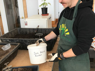 Gardener Dave making soil blocks. Photo by HDT Staff.