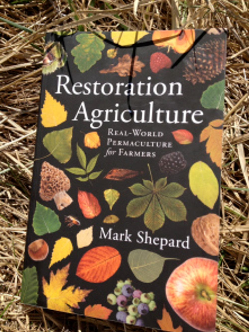 restorationag