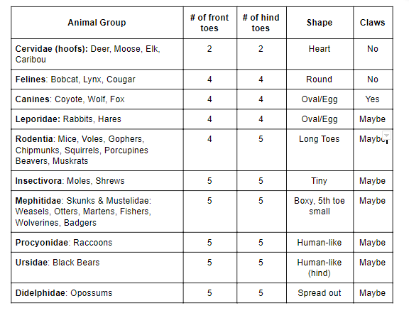 Mammal Track Summary Chart