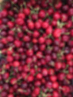 Cerises rouges BIO et brillantes, produites en France