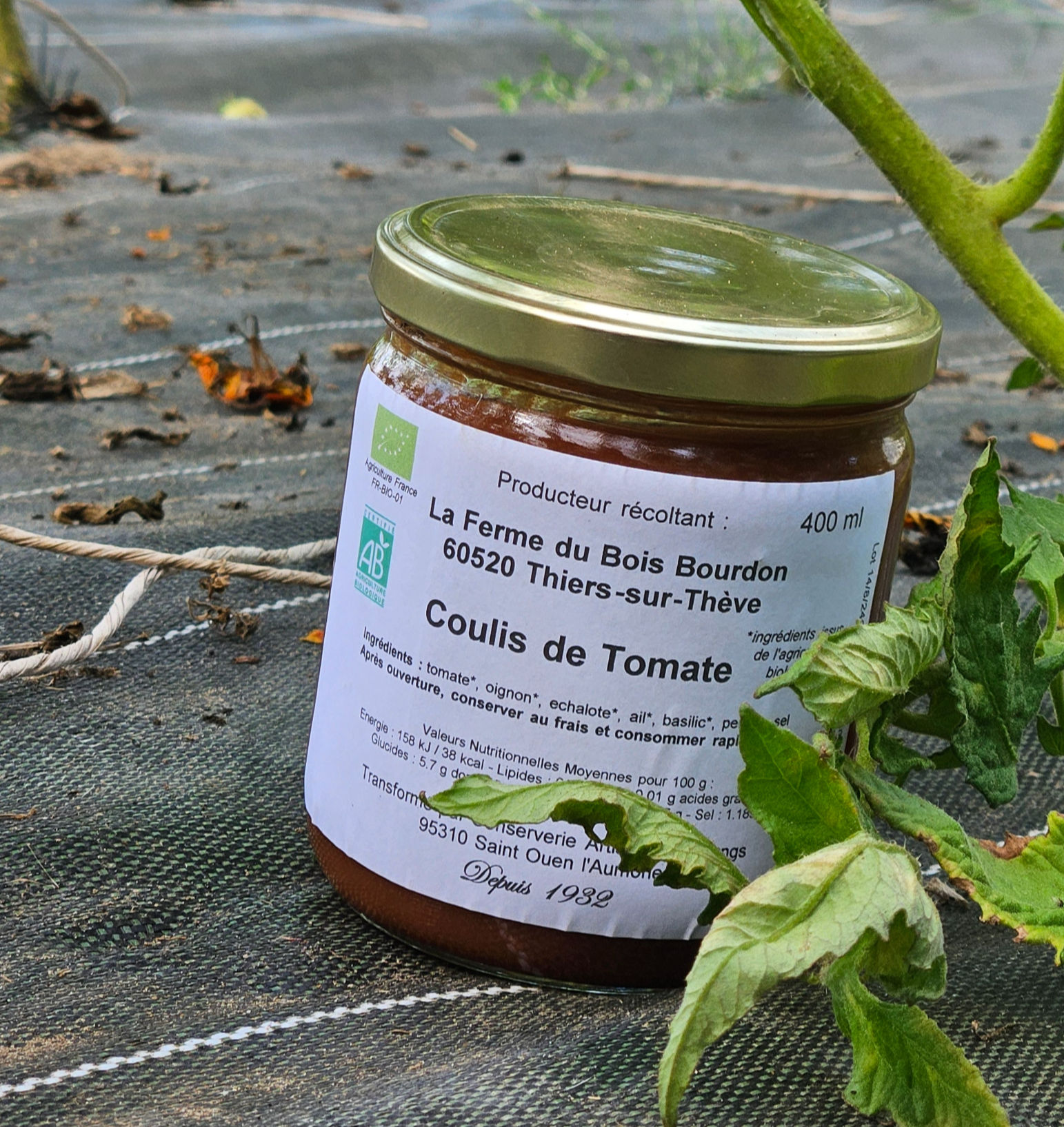 Coulis de tomate maison BIO, préparé avec les tomates, oignons, échalotes, ail, basilic et persil de la Ferme du Bois Bourdon