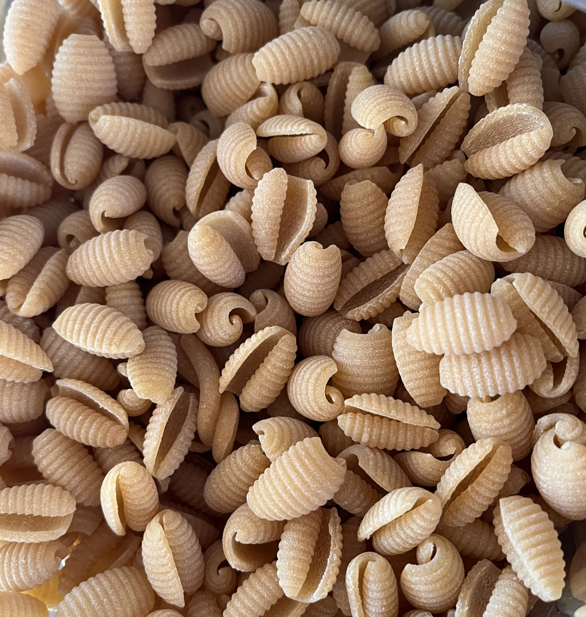 Gnocchettis BIO
