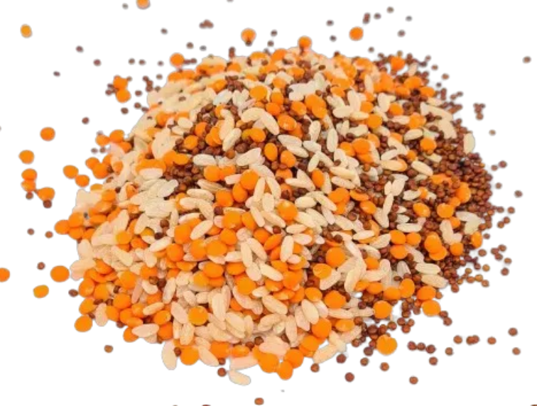 Riz trio gourmand BIO