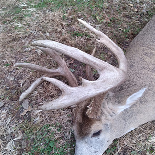 Hunting Kansas With Bell Wildlife Specialities & Dirt Nap Outdoors LLC