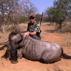 Plains Game Hunting - Blue Wildebeest Af