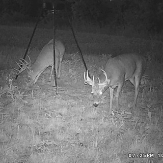 Hunting Kansas With Bell Wildlife Specialities & Dirt Nap Outdoors LLC