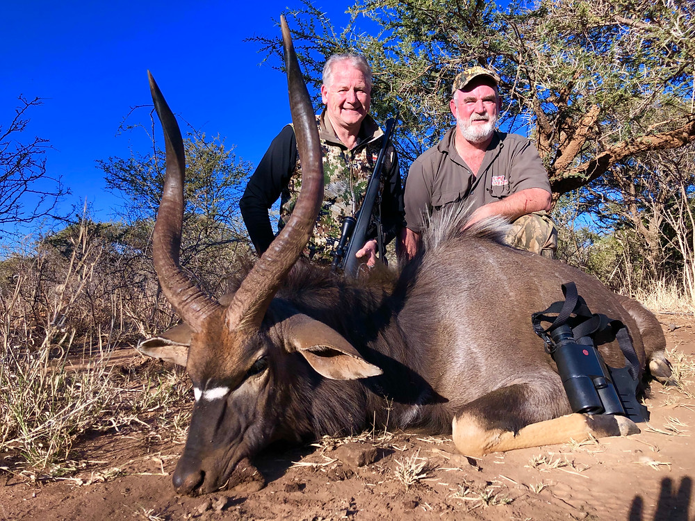 Beautiful Limpopo Nyala Taken By AussieJohn From Australia With 50 Cal Black Powder Muzzle Loader