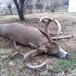 Hunting Kansas With Bell Wildlife Specialities & Dirt Nap Outdoors LLC