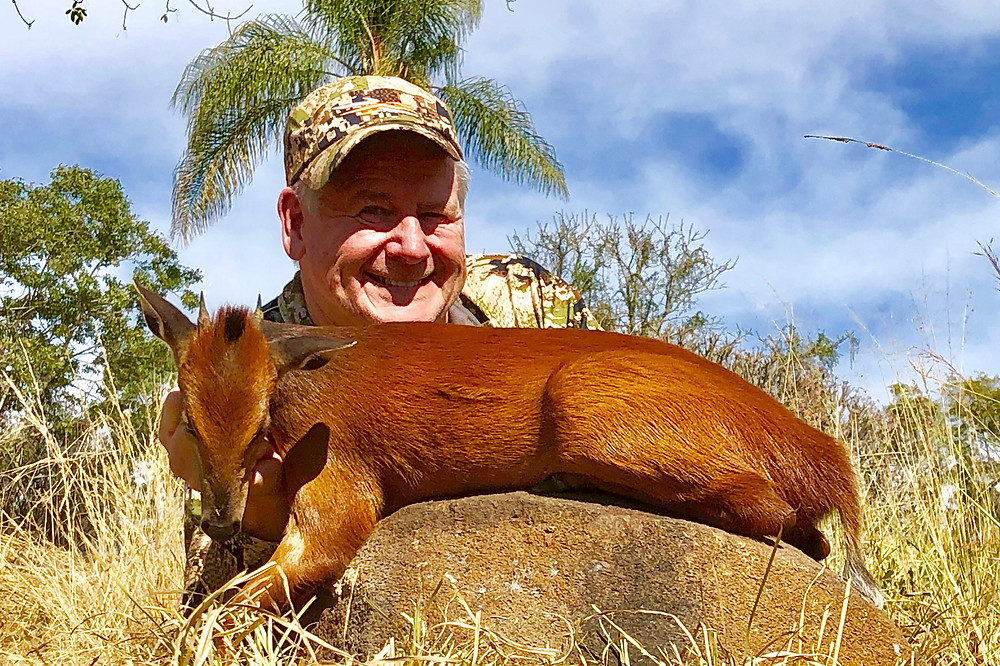 Red Duiker takes a beautiful Red Duiker with Africa Safari Outfitters