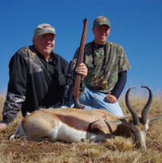 Springbok Plains Game - Africa Safari Ou