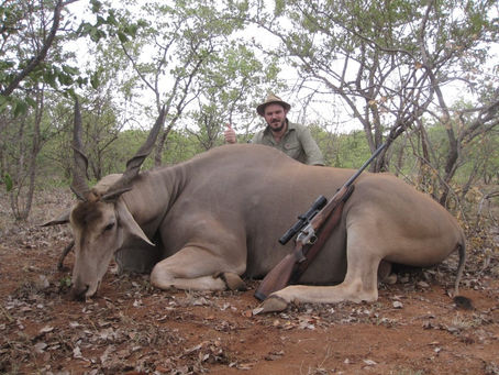 Eland Bull Limpopo South Africa