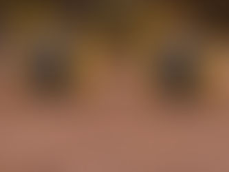 Target Practice At The Range