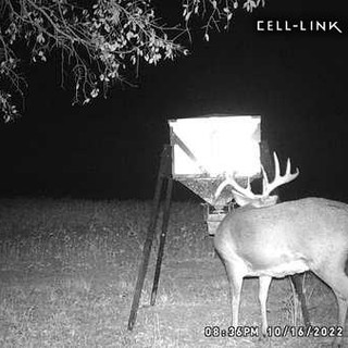 Hunting Kansas With Bell Wildlife Specialities & Dirt Nap Outdoors LLC