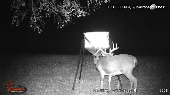 Hunting Kansas Whitetails with Bellwildlife Specialities & Dirtnap Outdoors 2022