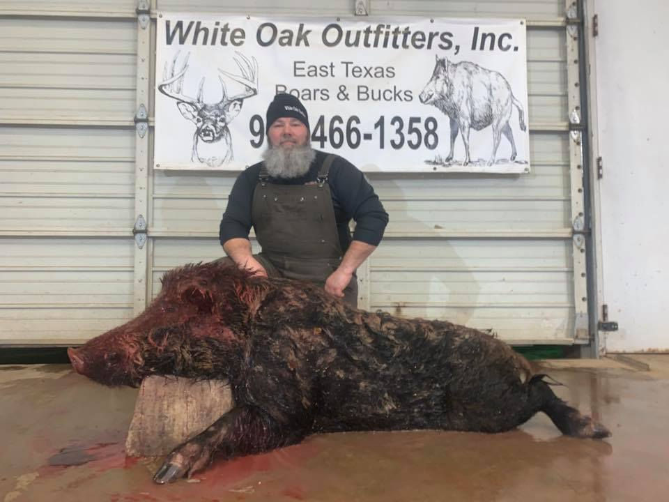 East Texas Free Range Wild Hog