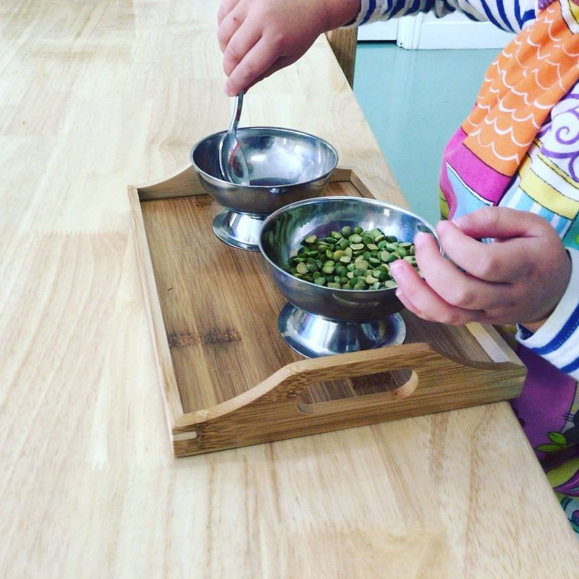 Using a spoon to transfer. Montessori Gold Coast