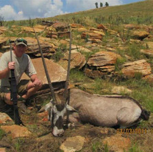 Plains Game Gemsbok - Africa Safari Outf