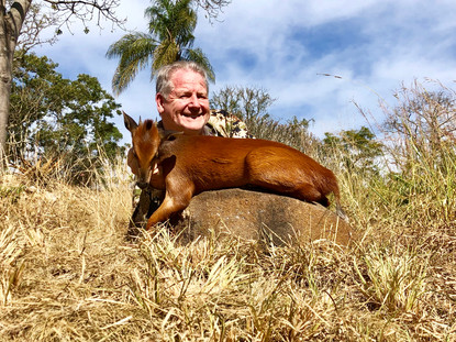 Red Duiker Tiny Ten South Africa.jpeg
