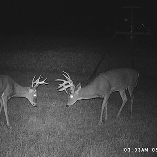 Hunting Kansas With Bell Wildlife Specialities & Dirt Nap Outdoors LLC