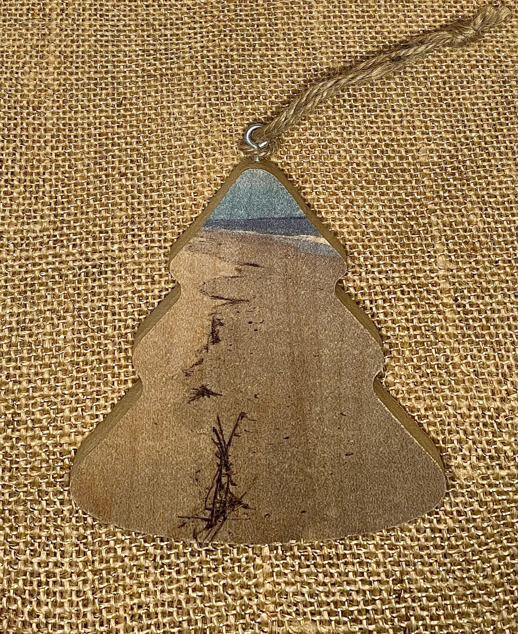 "Rosemont Beach Walk" - Christmas Ornament