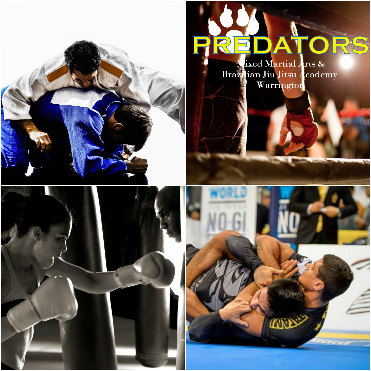 Predators MMA & BJJ Academy Warrington main image