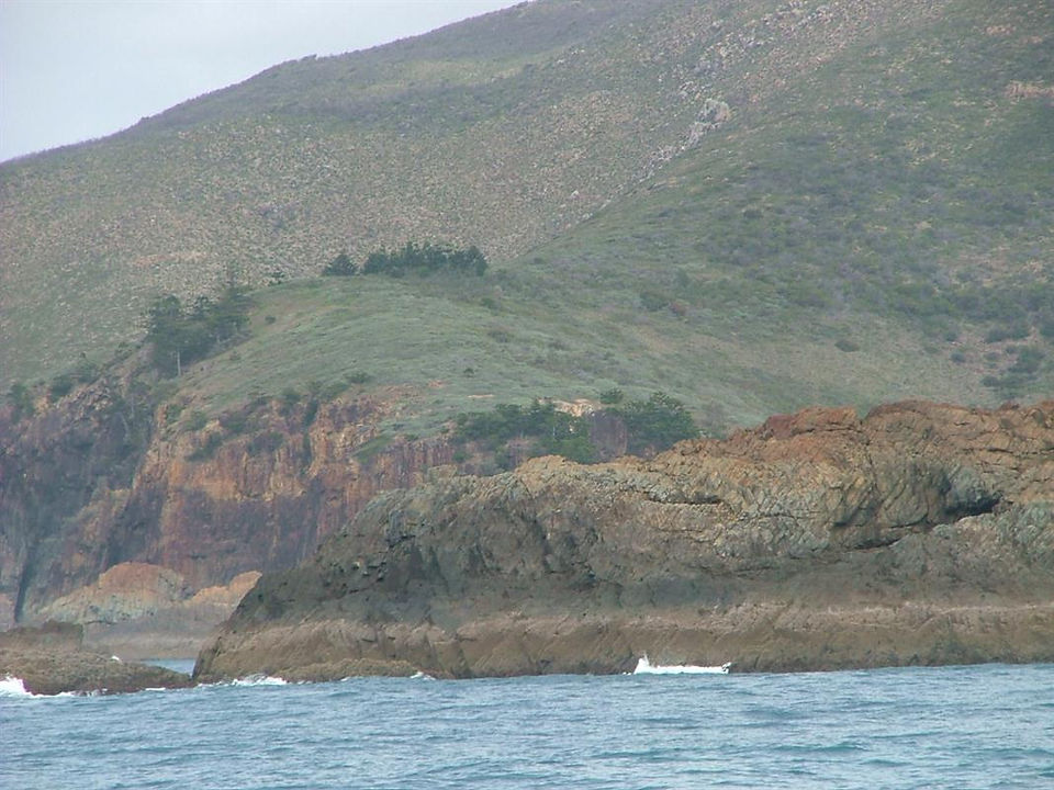 Island_Head_Creek_Sept_2010_039