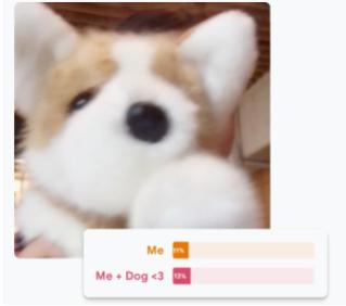 Image recognition