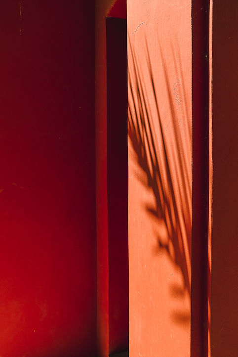 Elodie Leneveu, photographe 