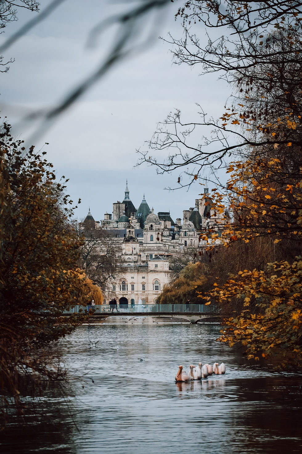 Balade au coeur de Saint James Park, Un Piaf sur la Branche