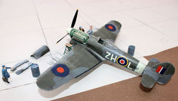 Typhoon F