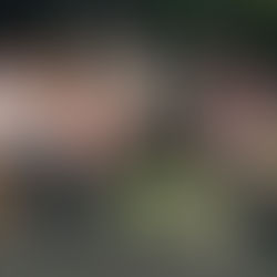 Sheri’s Spotlight: Reliably Bad’s Space Girl