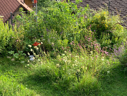 Gartengestaltung und nachhaltiges Gärtnern schließen sich nicht aus!