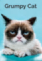 Grunpy Cat_edited_edited