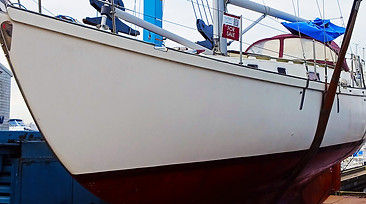 Jesamine cover pics.jpg