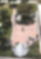 CVMFcover.jpg