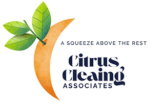 Business Web Home Page (1280 x 720 px) (