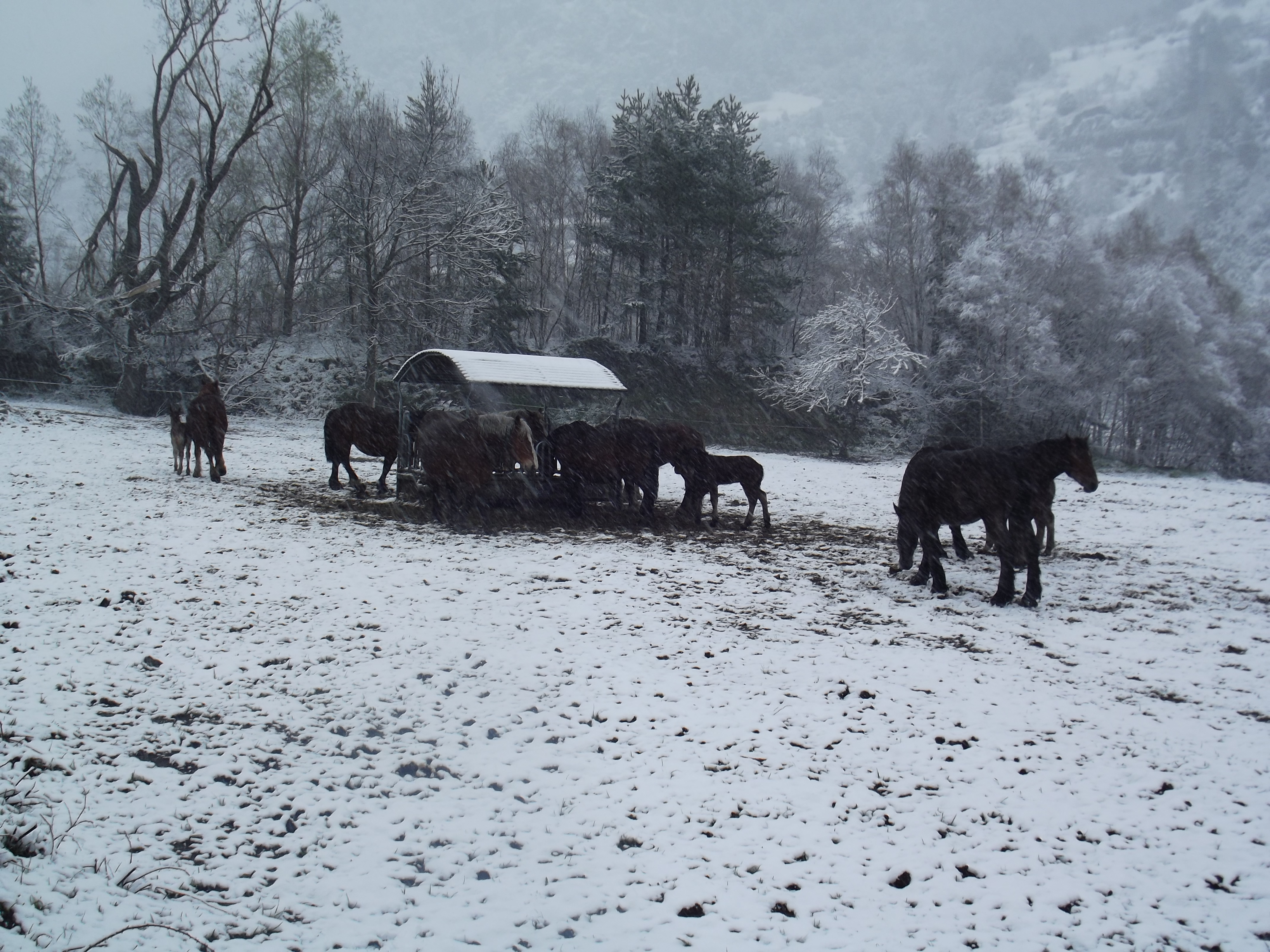 Andorra (2013)