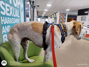 Noodle _ Hull College.jpg