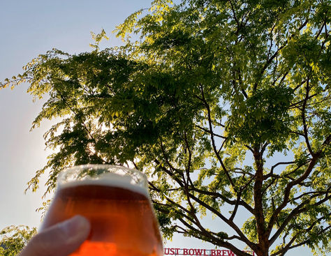 Introducing "Terrific Tuesdays"