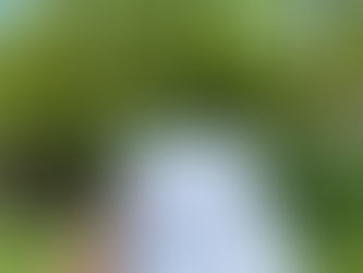 Taking a walk (plus bingo!)