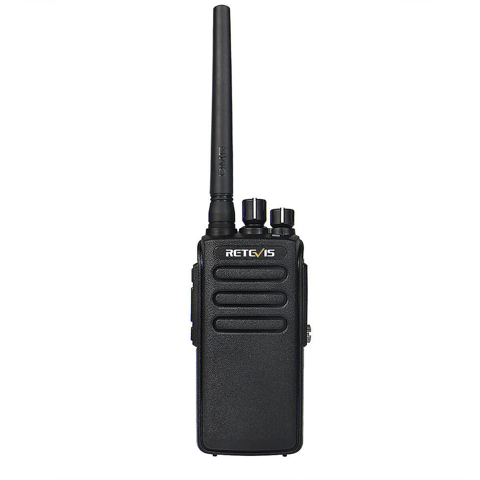 Miniature : RT 81