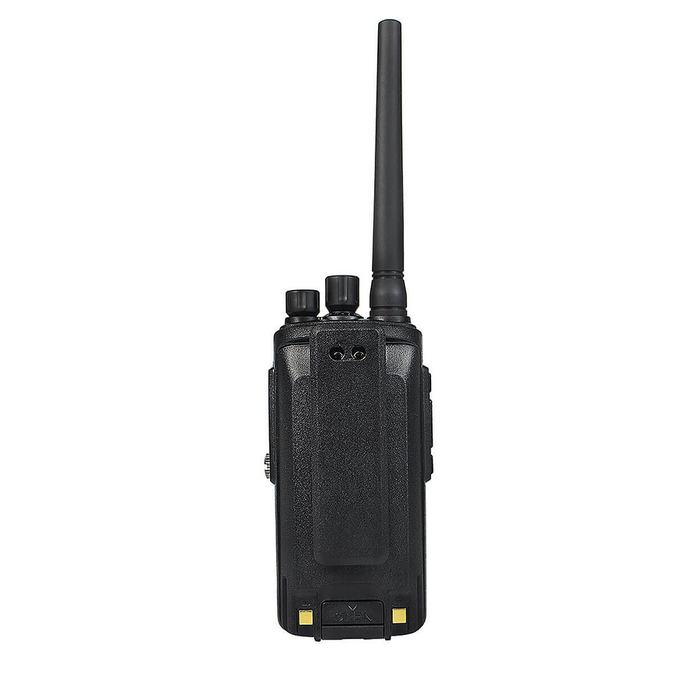 Miniature : RT 81