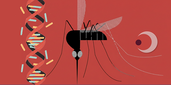 OP Singh Research Theme