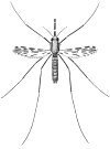 mosq-image