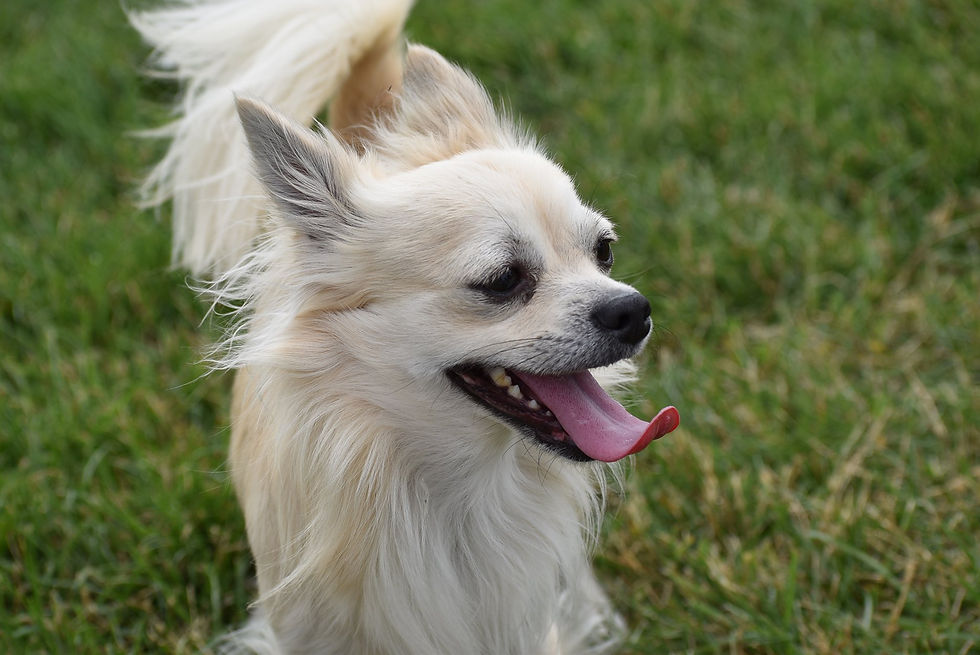 Max
