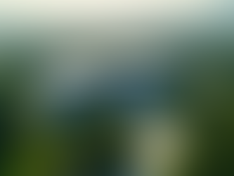 Einsatz von KI in der Verwaltung leicht gemacht