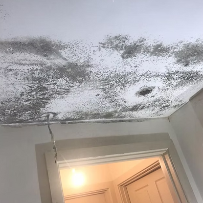 Mould on a ceiling