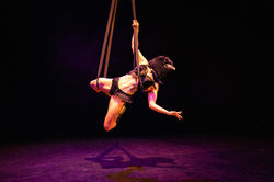 Crowella Aerial Loops Burlesque